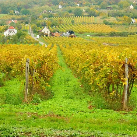 Pensionat Liszkay Borkuria