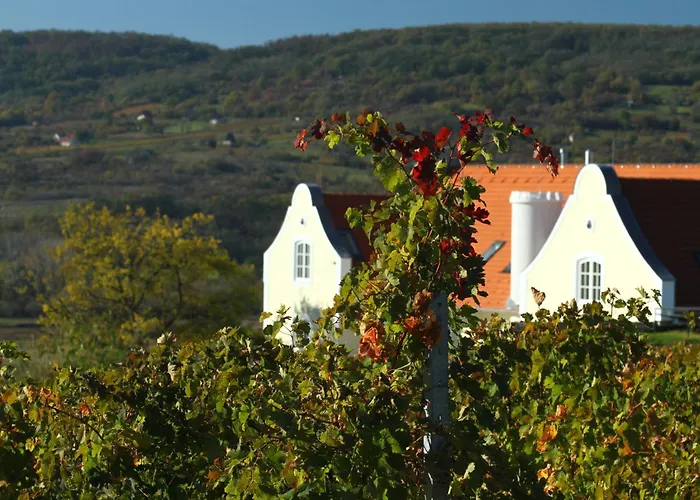 בית הארחה Liszkay Borkuria 4*