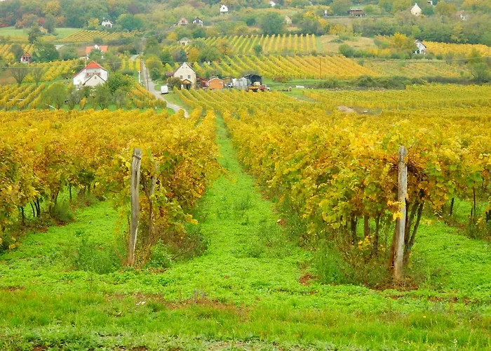 Gasthuis Liszkay Borkuria