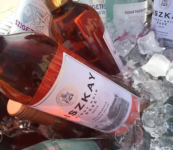 Liszkay Borkuria בית הארחה Monoszlo