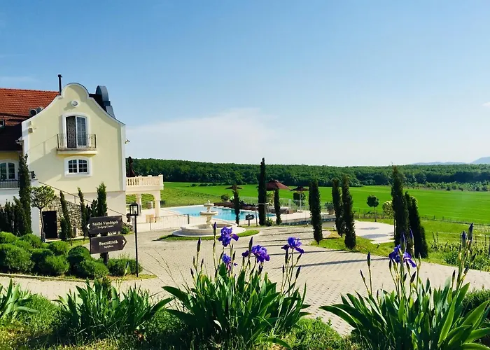 בית הארחה Liszkay Borkuria 4*